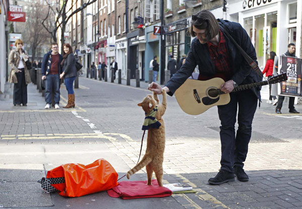 'A Street Cat Named Bob'