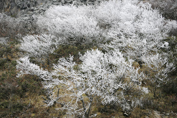 Spring awakening at Gemu Nature Reserve