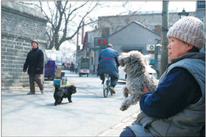 Beijing's Drum and Bell towers: past, present,future