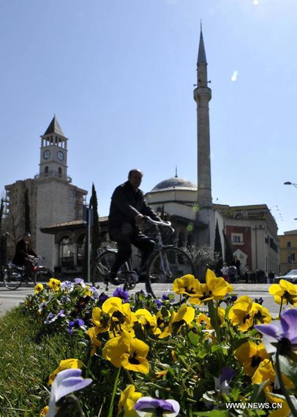 Northern hemisphere embraces flourishing spring flowers