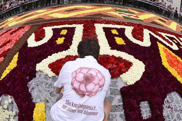 Flower carpet displayed at the Grand Place in Brussels, Belgium