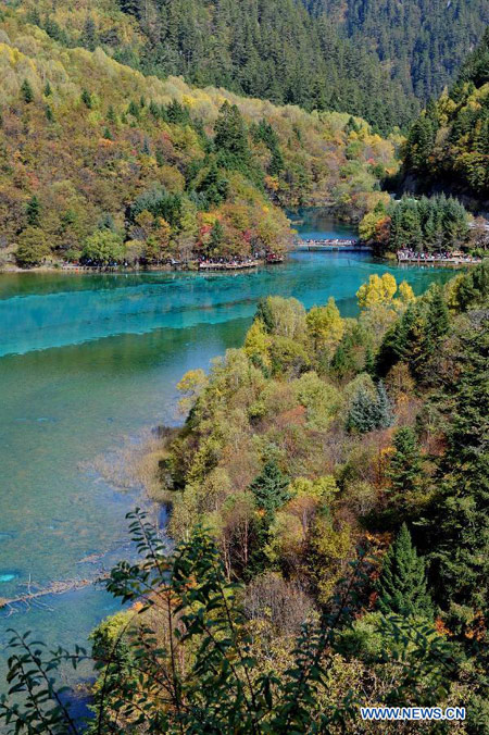 Enchanting autumn scenery in Jiuzhaigou