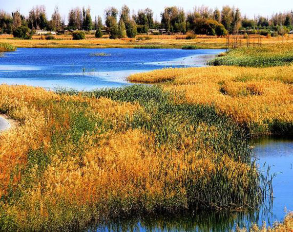 Autumn view of Zhangye National Wetland Park