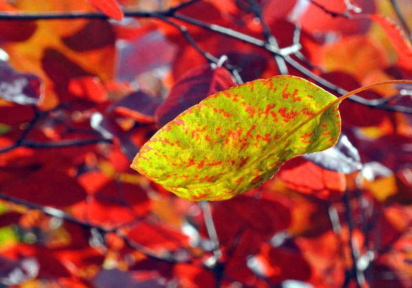 Autumn view on Changshou Mountain in China's Henan