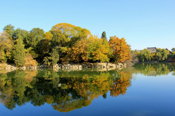 Peking University in Fall: A Symphony of Colors