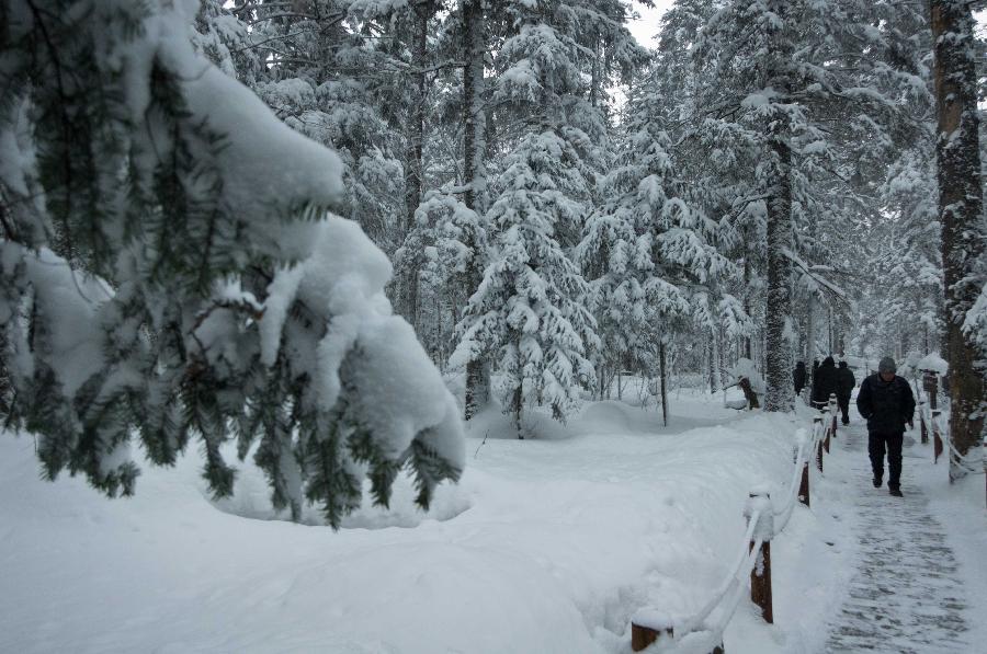 Picturesque scene in Changbai Mountain, NE China