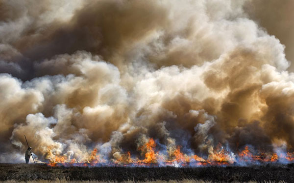 Spectacular photos of 6th 'Landscape Photographer of the Year'