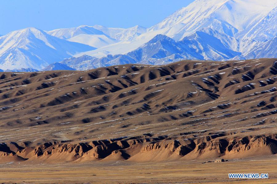 Wild animals on Haltern Plateau in NW China's Gansu