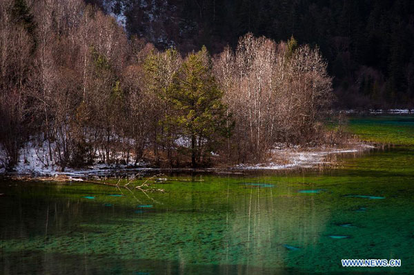 Unparalleled scenery of Jiuzhaigou Valley in SW China