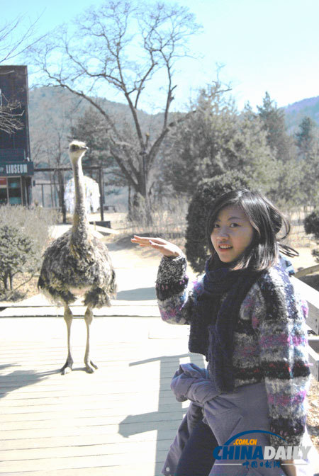 Trip to fairyland, Nami Island