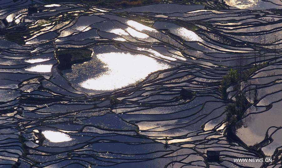 Painting-like scenery of Hani terraced fields in SW China