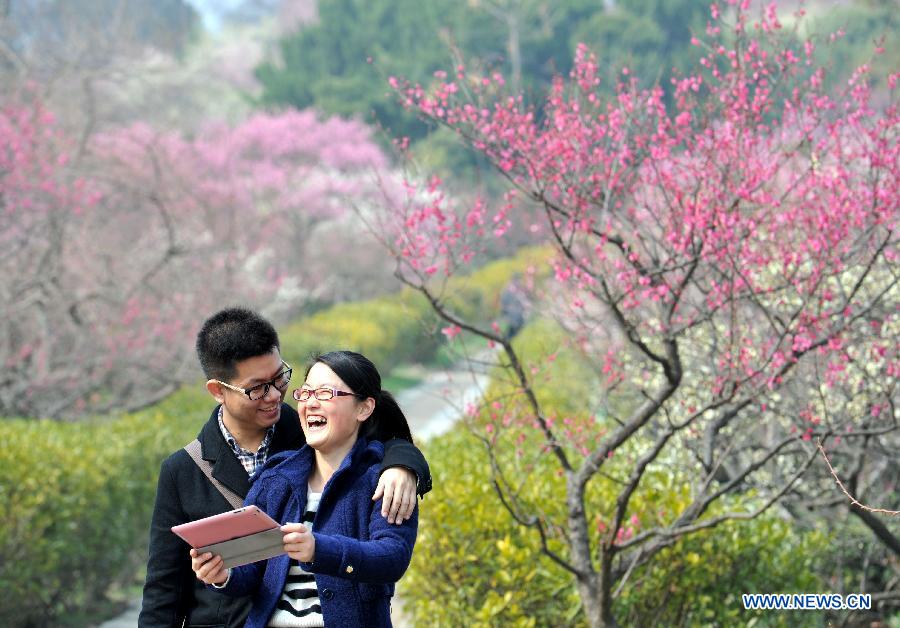 Scenery of plum blossoms in China's Jiangsu