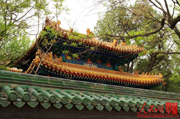 Three must-see hutongs, insight into old Beijing