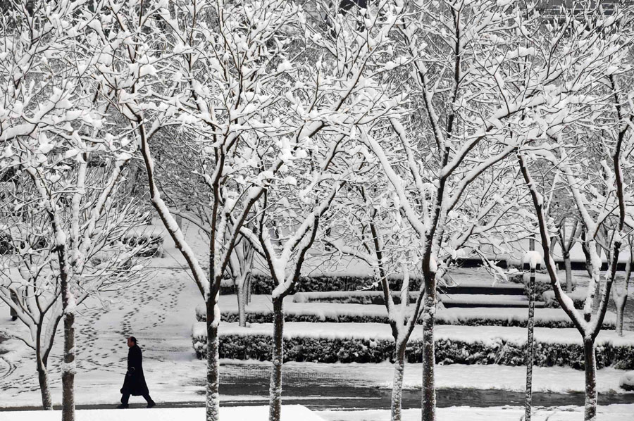 Spring snow blankets Beijing