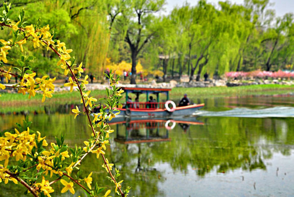 Prime of Spring at the Old Summer Palace