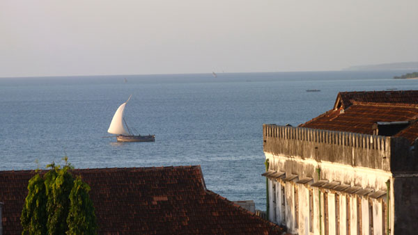 Interlude in Zanzibar