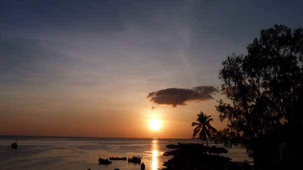 Interlude in Zanzibar