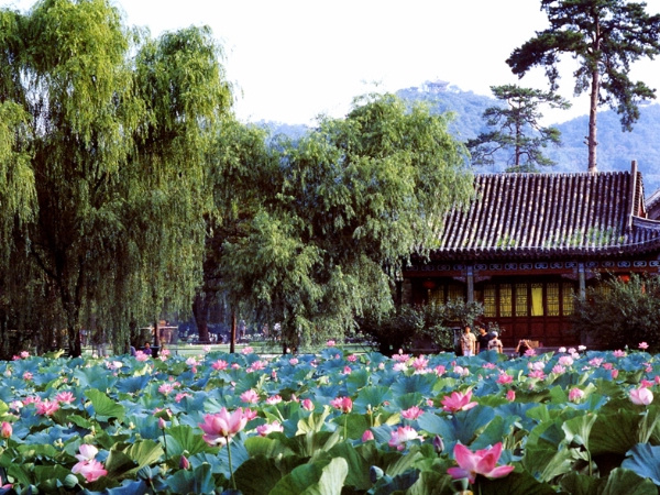 Top 10 relaxing summer destinations in China