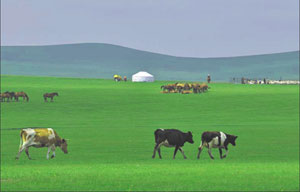 Promoting tourism in Beijing