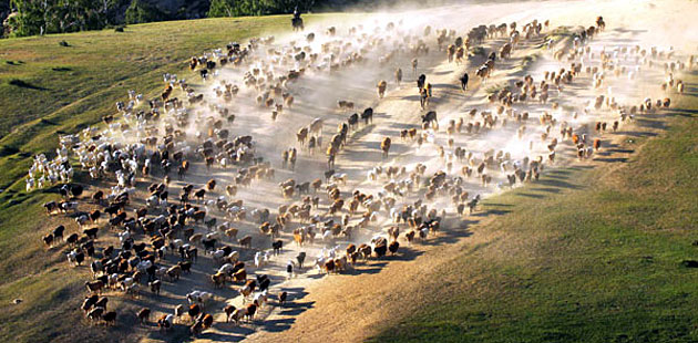 Take a visit to Yangtze River |Travel |chinadaily.