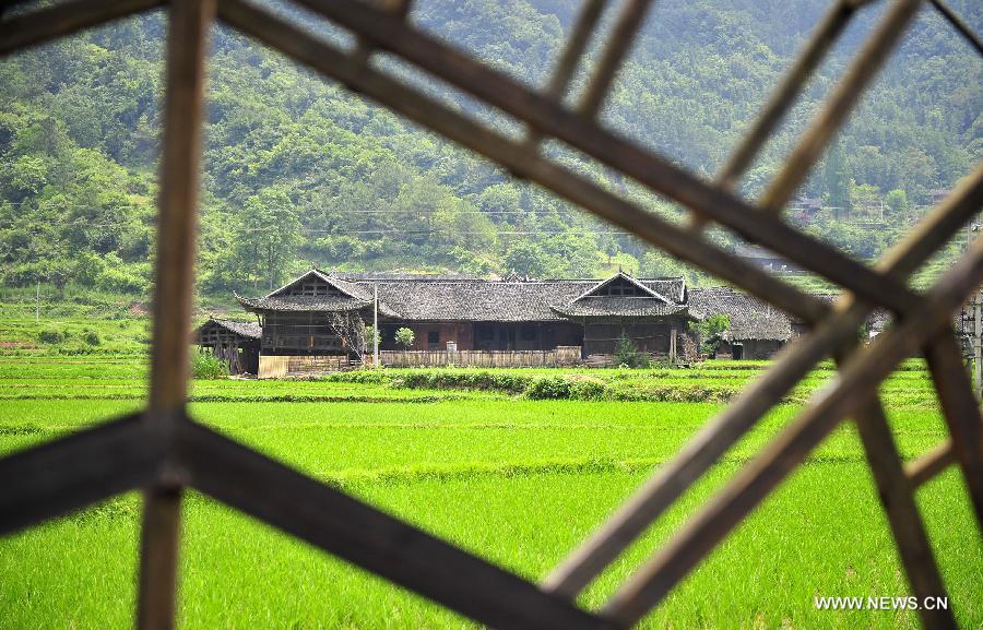 Scenery of stilted houses of Tujia ethnic group