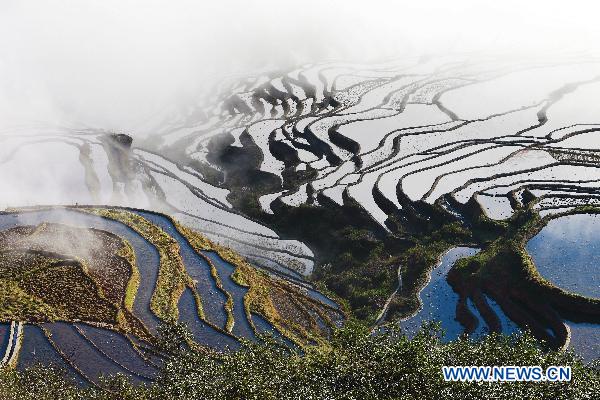 Terrace fields in Yuanyang, China's Yunnan