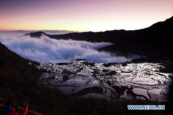 Terrace fields in Yuanyang, China's Yunnan