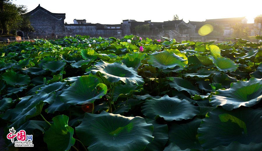 Amazing Chengkan village in Anhui