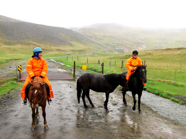 From horses to hot spa