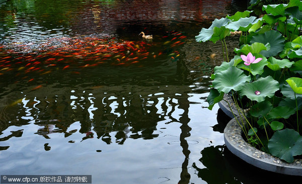 Ten dreamlike water towns in China