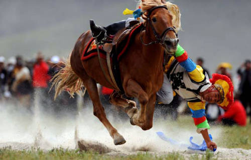 Horse-racing of Shoton Festival in Tibet