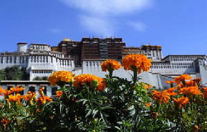 Shoton festival celebrated in Lhasa