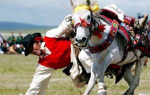 Shoton festival celebrated in Lhasa