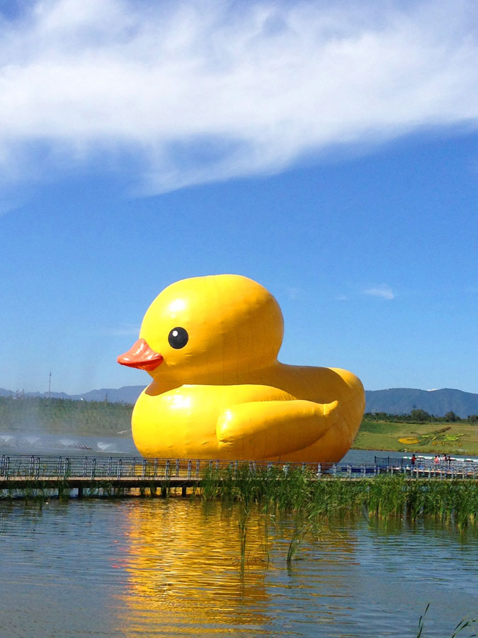 Floating Rubber Duck