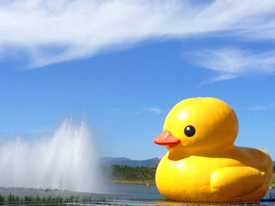 Floating Rubber Duck