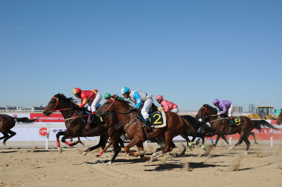 National Equestrian Competition kicks off