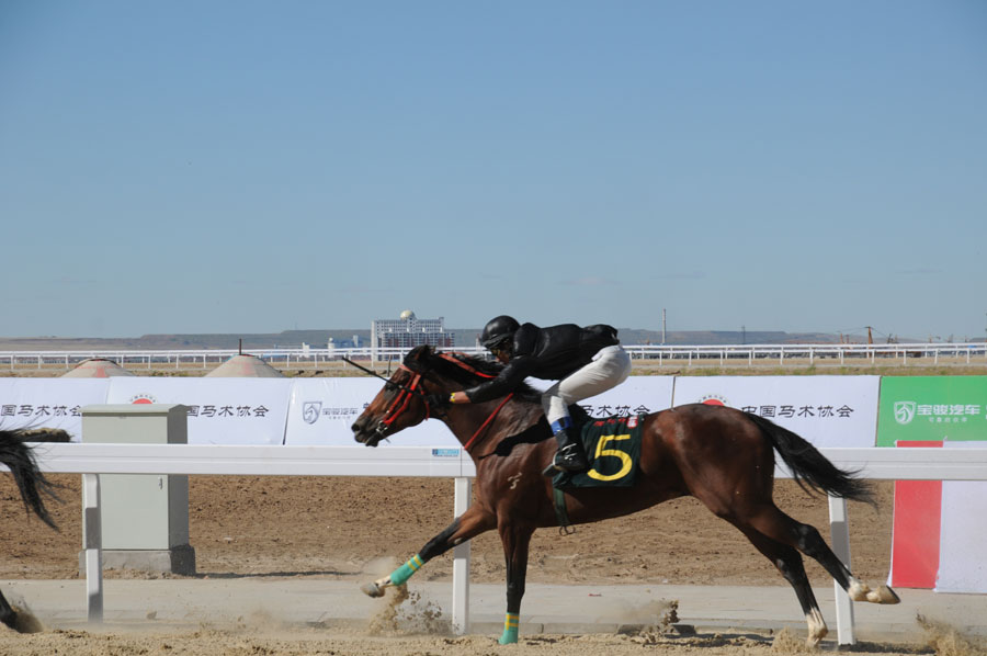 National Equestrian Competition kicks off