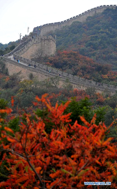 Great Wall surrounded by red leaves