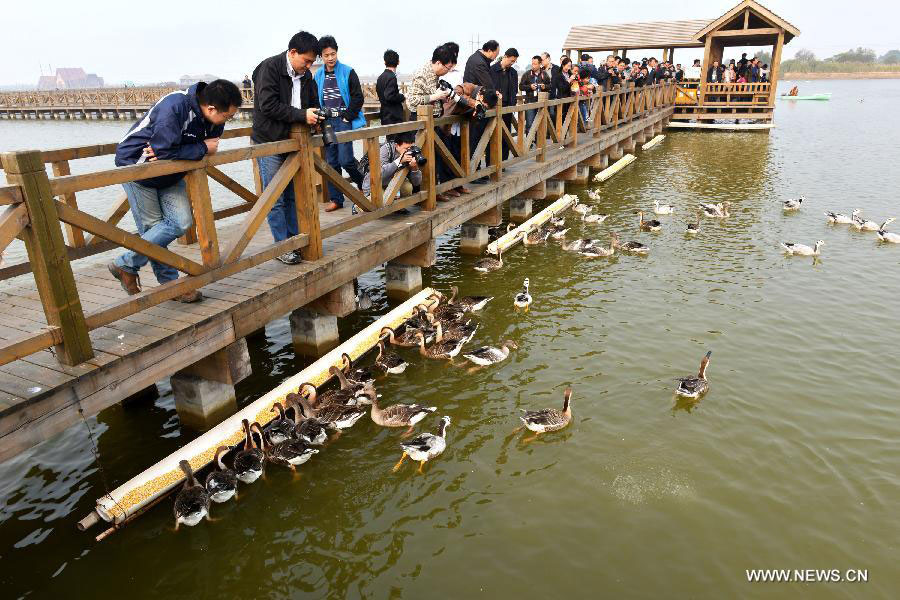 Yellow River estuary wetland natural reserve in E China