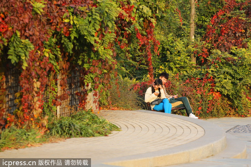 Autumn colors around China