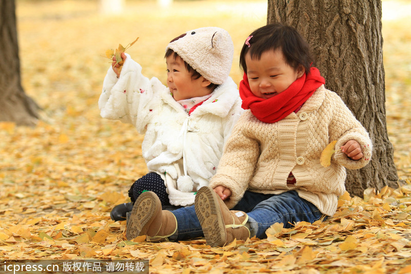 Top 10 places to enjoy autumn leaves in Beijing