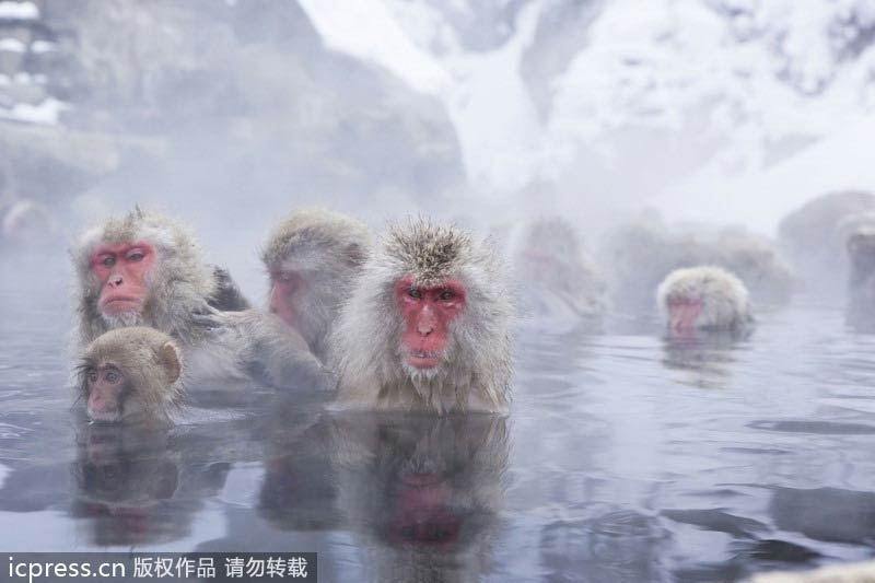 Top 10 hot springs around the world