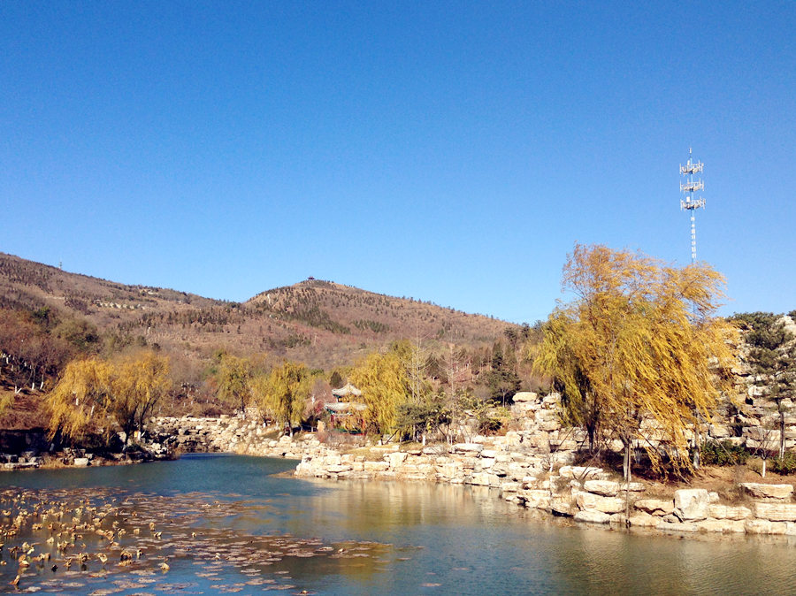 Seize the last moments of autumn at the Beigong National Forest Park