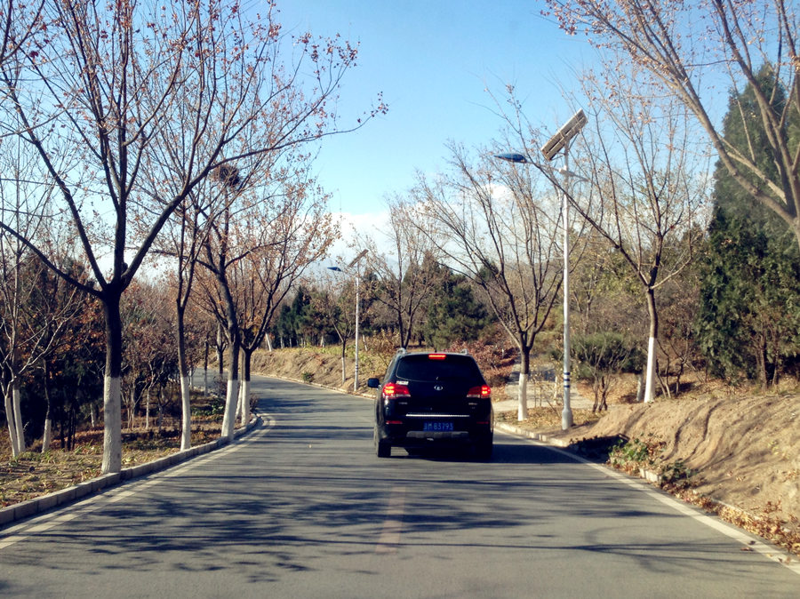 Seize the last moments of autumn at the Beigong National Forest Park