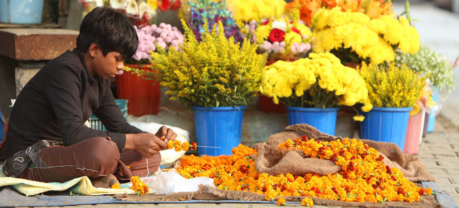 Colors of India