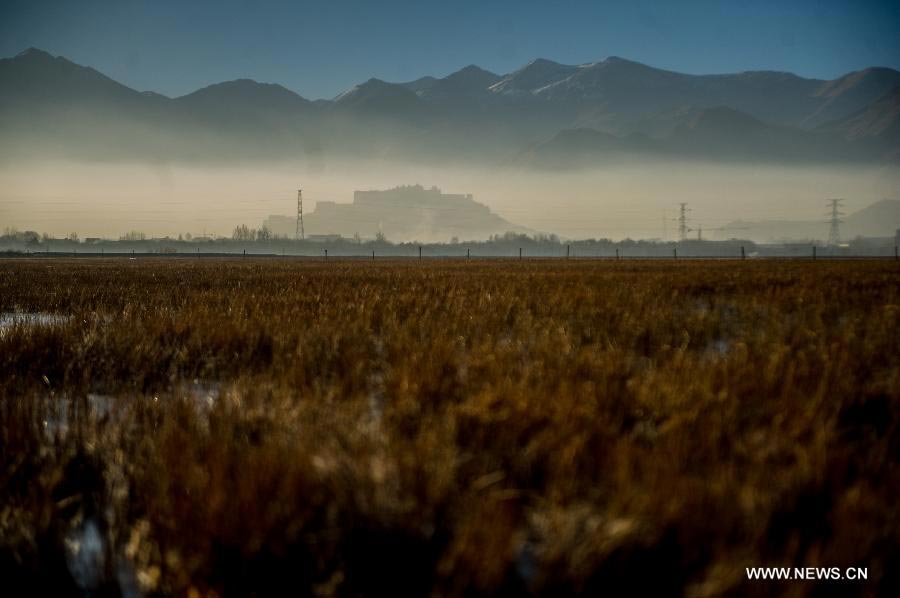 Lalu Wetland National Nature Reserve in Lhasa