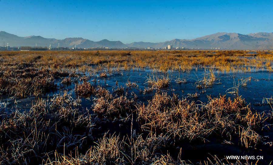 Lalu Wetland National Nature Reserve in Lhasa