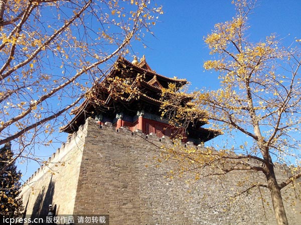 Palace Museum to open female section
