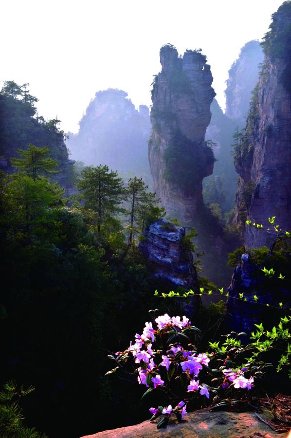 Magnificent peak walls in Yangjiajie