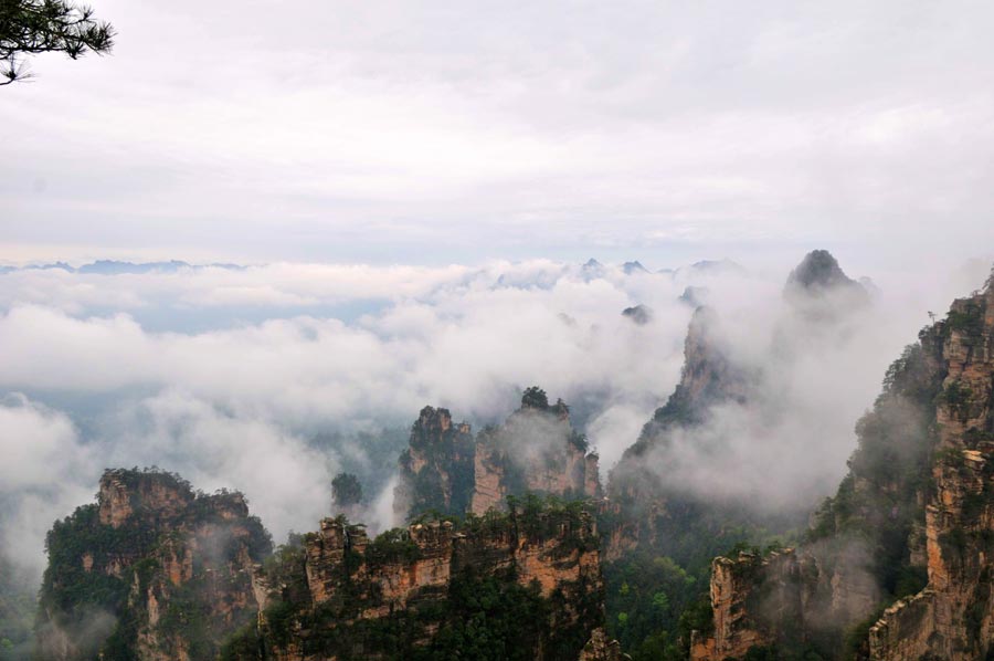 Magnificent peak walls in Yangjiajie